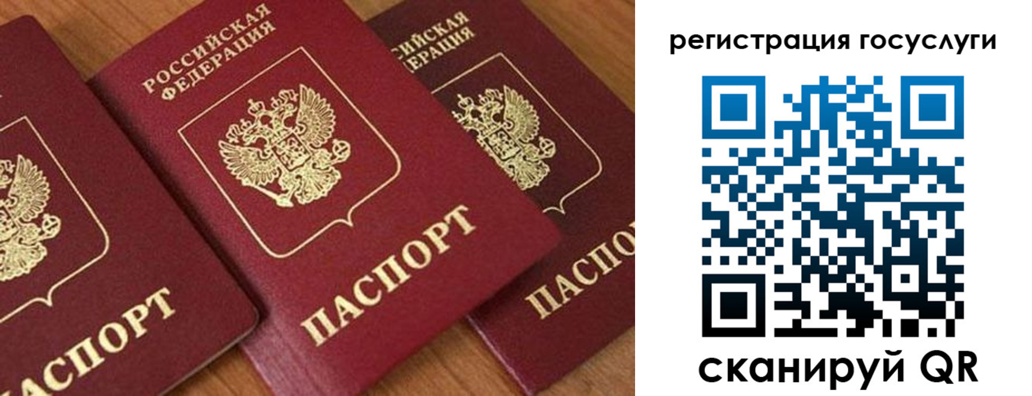 временная регистрация гарантия в Курской области